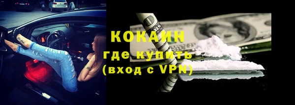 стафф Бронницы