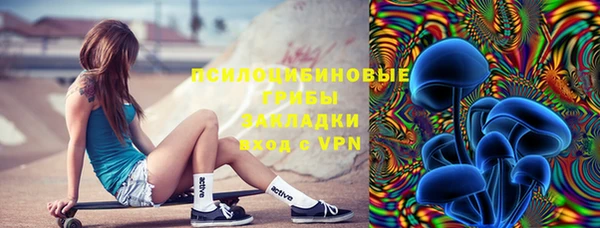 стафф Бронницы