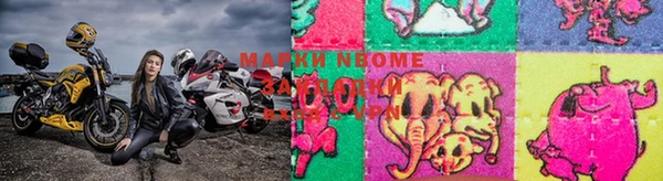 стафф Бронницы