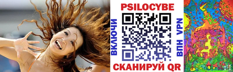 где продают наркотики  Тотьма  Псилоцибиновые грибы мицелий 